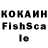 КОКАИН FishScale Roman _top