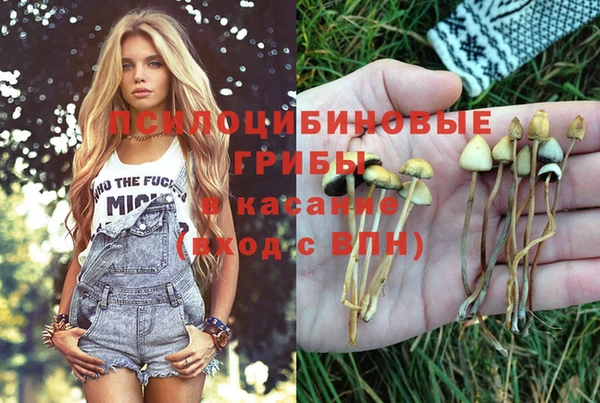 прущая мука Арсеньев