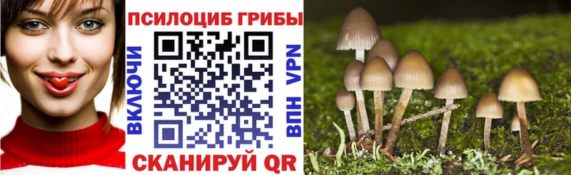 mega зеркало  цена наркотик  Опочка  Галлюциногенные грибы ЛСД 